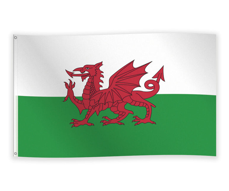 Wales Flagge 1.5m