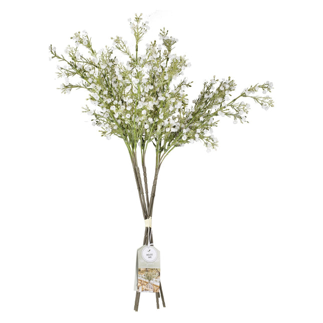 Trockenblumen Gypsophilia Stängel 40cm 5Stk.