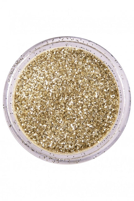 PXP Glitter Powder Dutch Silver 2.5gr