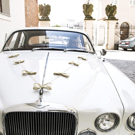 Auto-Deko-Set Hochzeitsschleifen