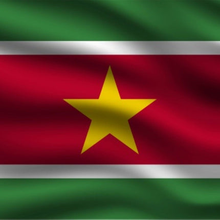 Flagge Suriname 150cm