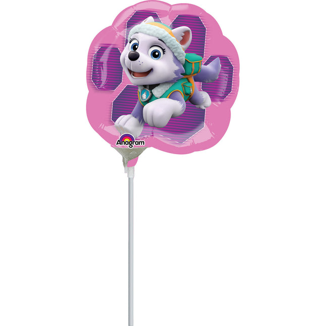 Paw Patrol Folienballon Skye & Everest Mini 23cm