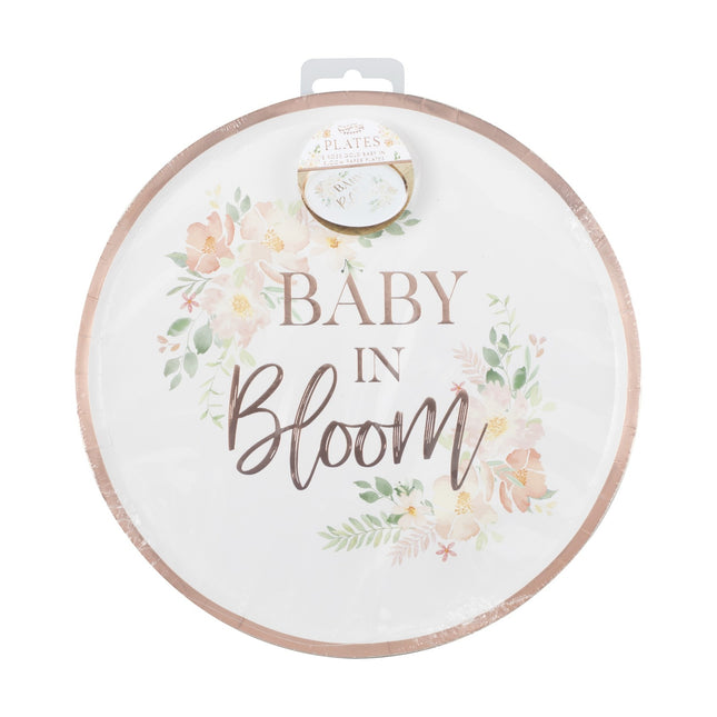 Teller Baby In Bloom 24,5cm 8Stk.