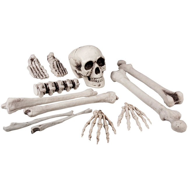 Halloween Skelett Set 12 Teile