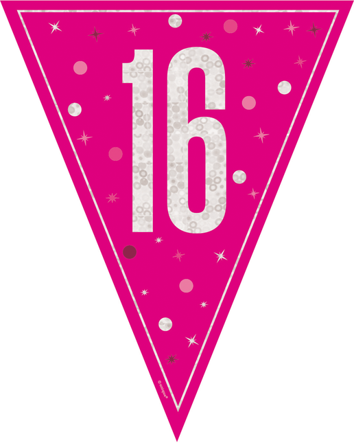 16 Jahre Girlande Rosa 2,5m