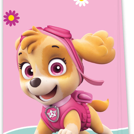 Paw Patrol Sharing Bags Skye und Everest 4tlg.