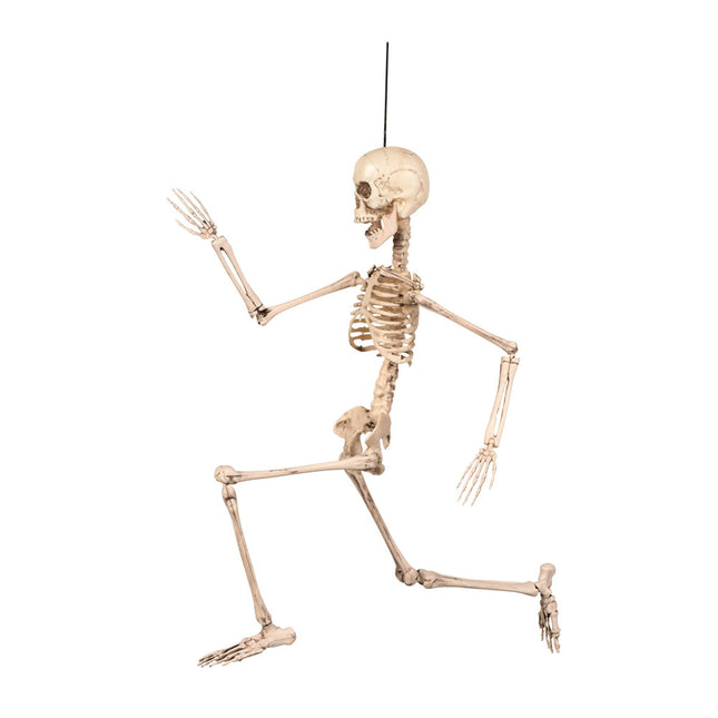 Halloween Skelett 50cm