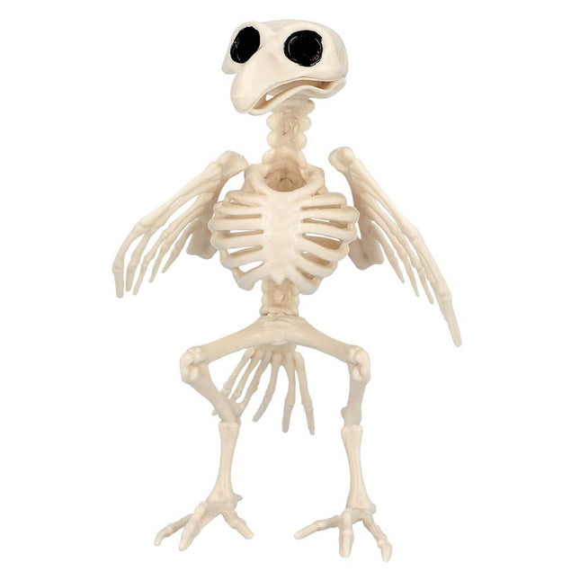 Halloween-Vogel-Skelett 20cm