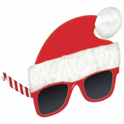 Weihnachtsbrille Weihnachtsmütze Rot