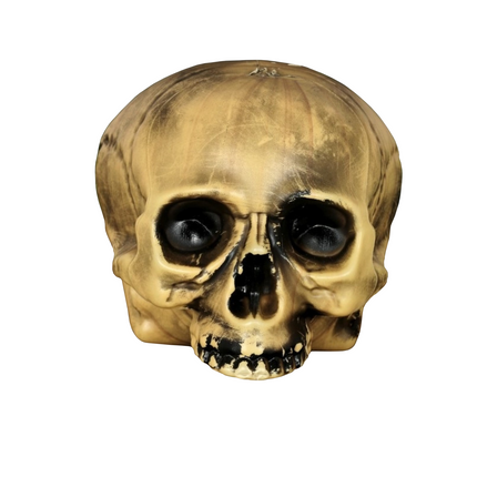 Halloween Halb-Totenkopf 20cm