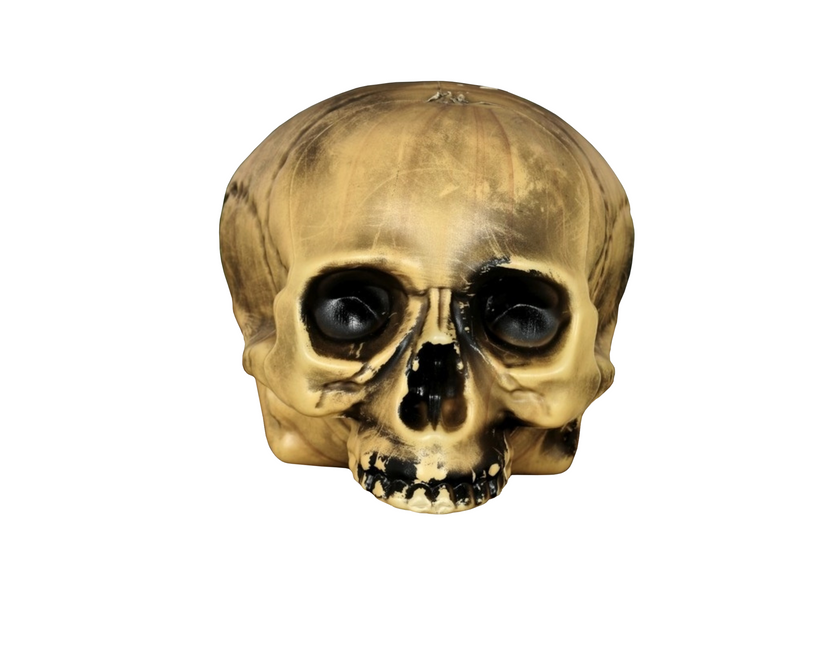 Halloween Halb-Totenkopf 20cm