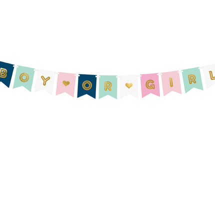 Gender Reveal Banner 1,75m