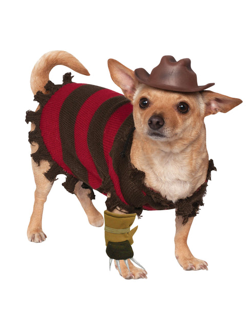 Halloween Hundekostüm Freddy Krueger