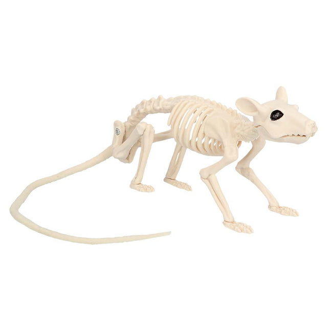 Halloween Ratte Skelett 46cm
