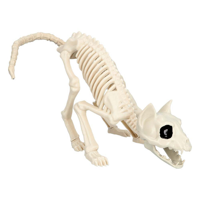 Halloween Katze Skelett 51cm