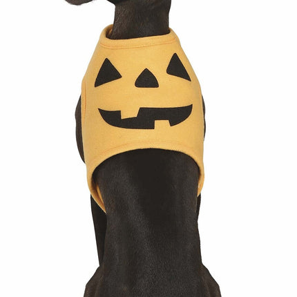 Halloween Tiere Kostüm Kürbis Maskottchen