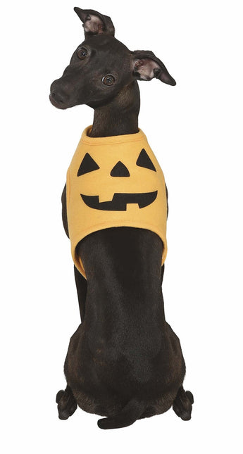 Halloween Tiere Kostüm Kürbis Maskottchen