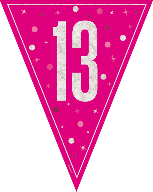 13 Jahre Girlande Rosa 2,5m