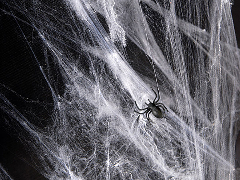 Spinnennetz Weiß mit 2 Spinnen 60gr