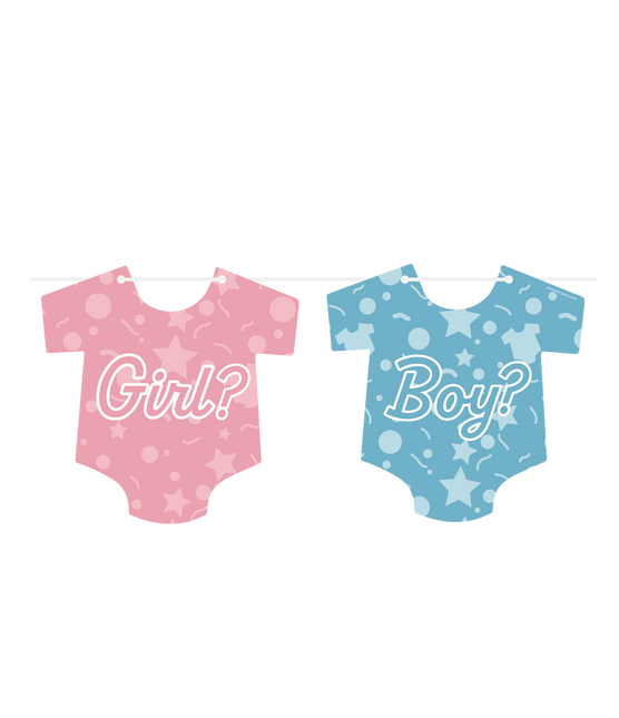 Gender Reveal Girlanden 6m