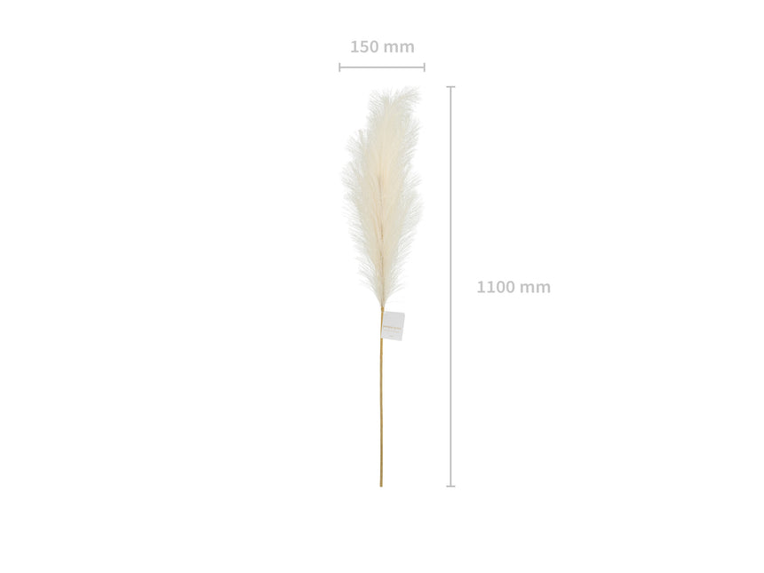 Trockenblumen Pampas 1.1m