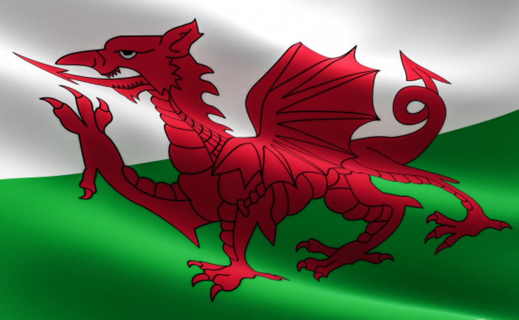 Flagge Wales 150cm