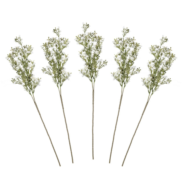 Trockenblumen Gypsophilia Stängel 40cm 5Stk.